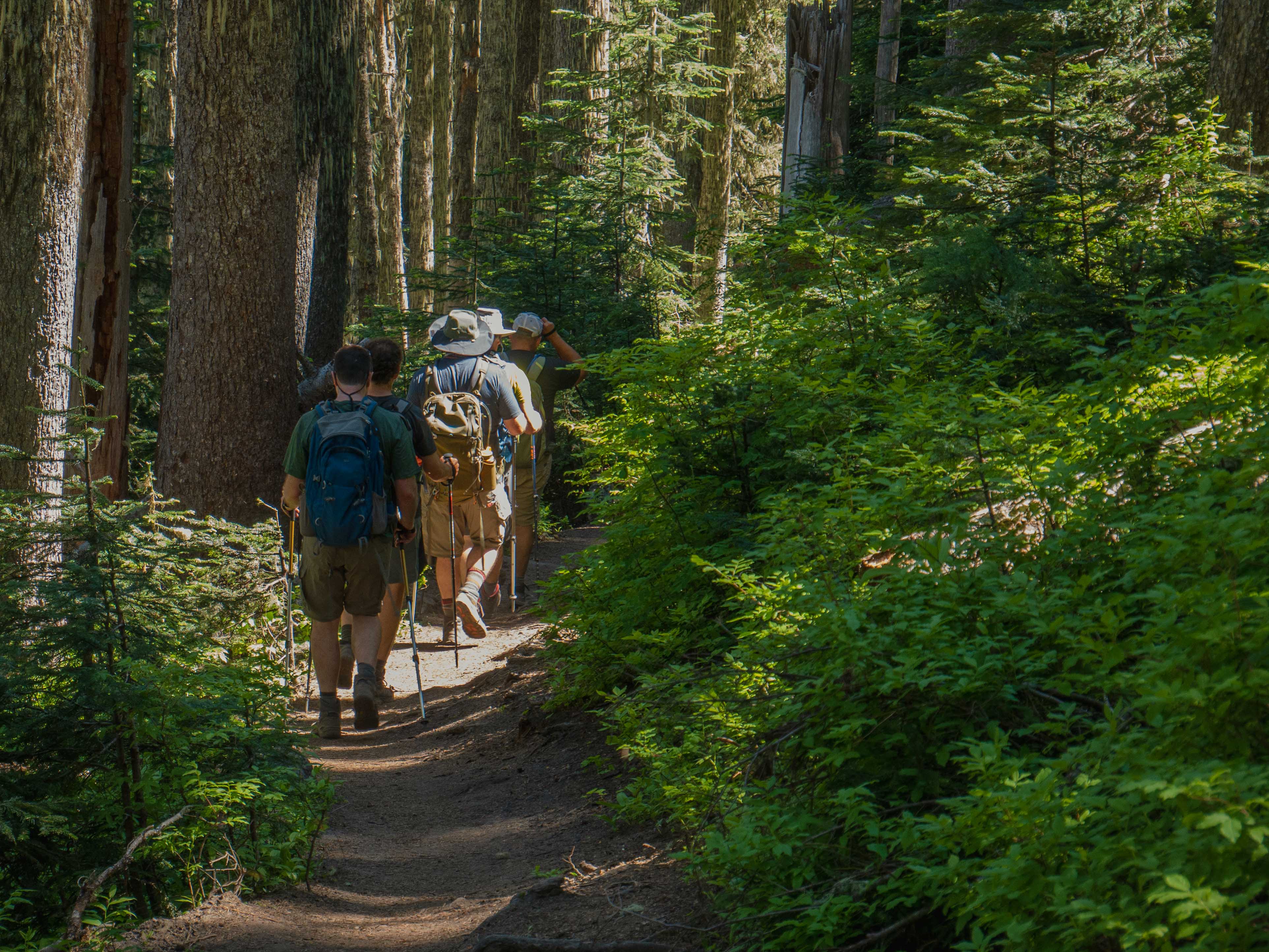 Guided backcountry trip through alpine wilderness