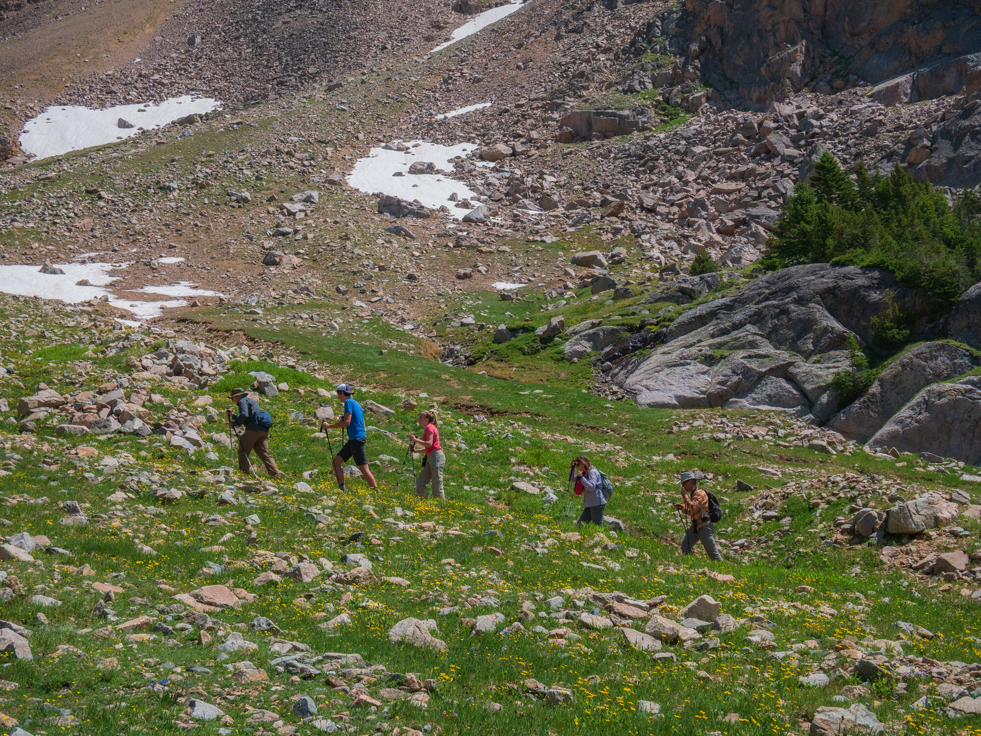 Four hikers spread across a steep rocky slope with lingering snow patches, climbing toward Albino Lake