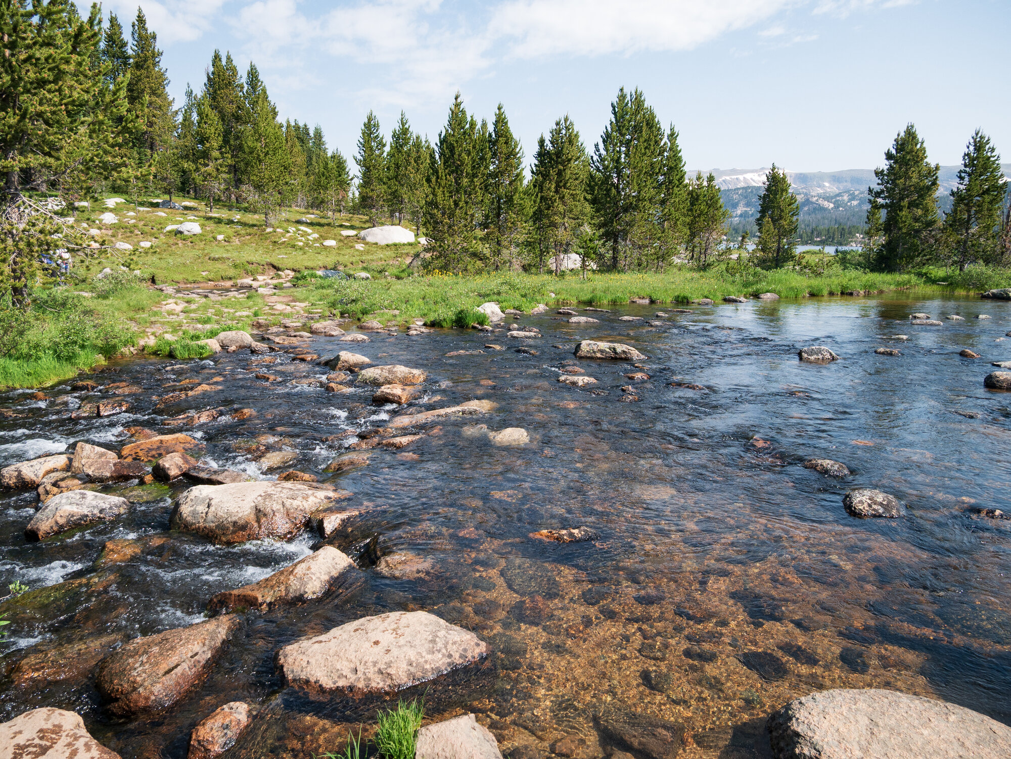 Little Bear Creek crossing with stepping stones on the approach to Becker Lake, Island Lake visible through the pines behind
