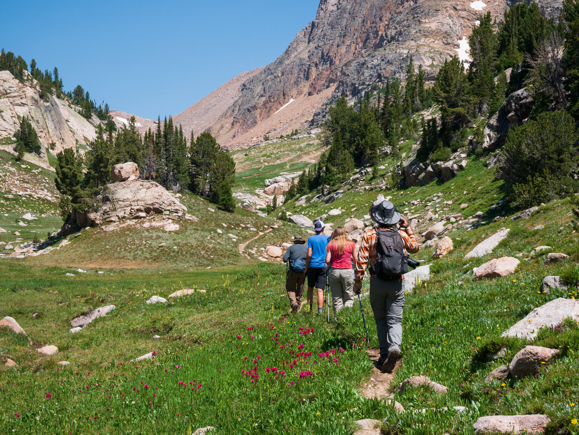 Group of hikers moving up a wildflower-filled valley toward Albino Lake, granite walls and a mountain peak rising above
