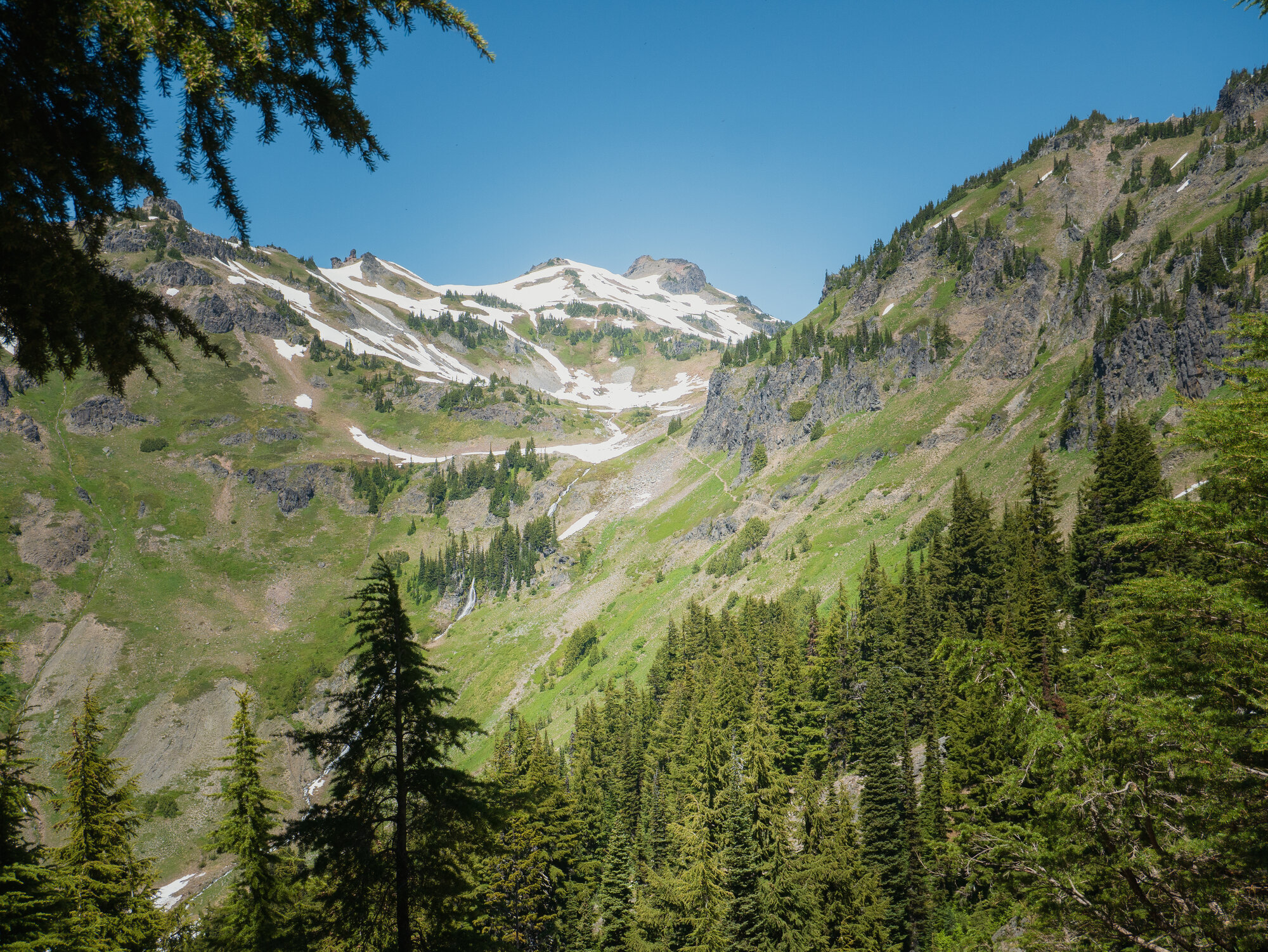 Glacially carved Goat Rocks Wilderness valley with snow-capped volcanic peaks and green fir forests