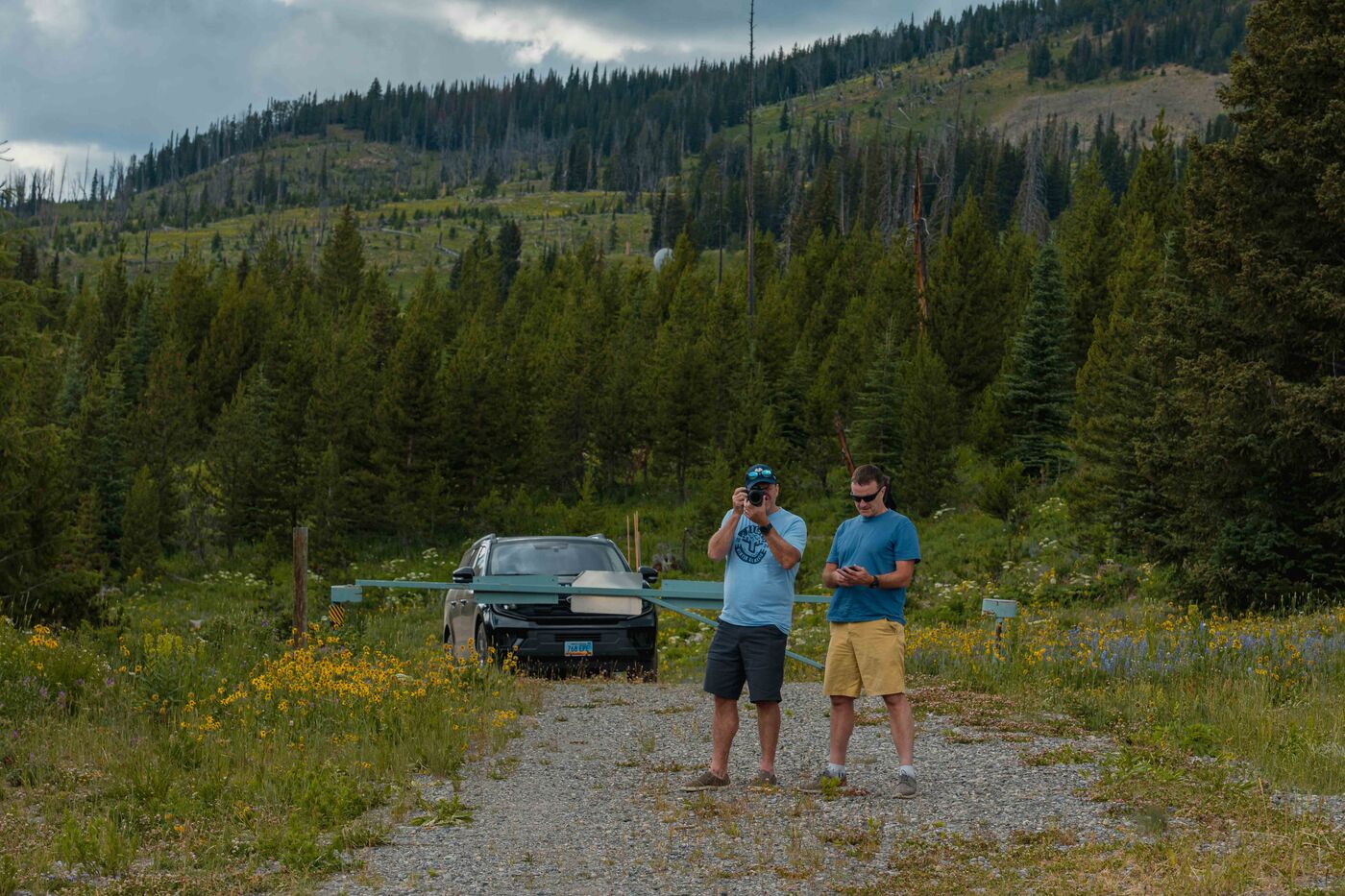 Two hikers stopped on a gravel pullout on Lulu Pass Road above Cooke City, wildflowers and dense forest filling the valley behind them, mountains rising above the treeline