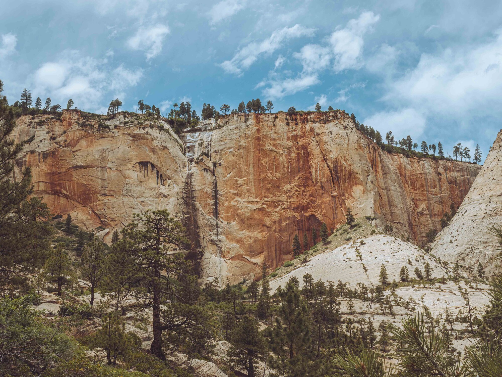 Looking up at massive orange and red Navajo Sandstone cliffs with white slickrock dome in Zion National Park