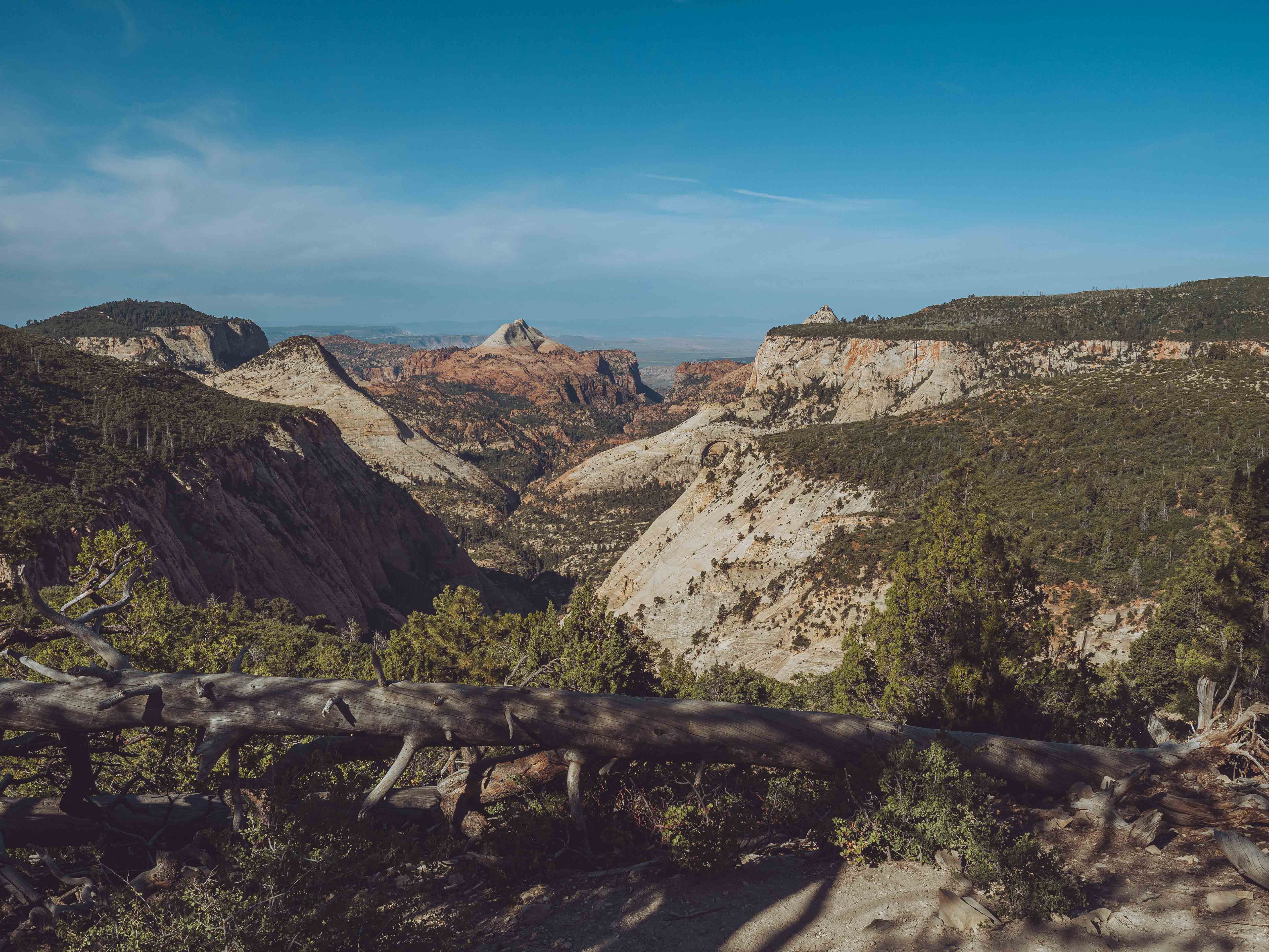 Wide view of Zion canyon from the upper West Rim trail showing white slickrock and red sandstone formations